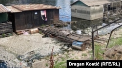 Čukarički rukavac gde je došlo do pomora ribe, Beograd, Srbija, 11. jul 2025.