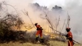Spain wildfires