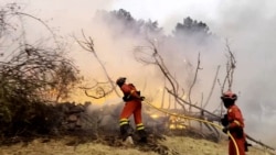 Toplotni talasi sve češći i opasniji, upozoravaju stručnjaci