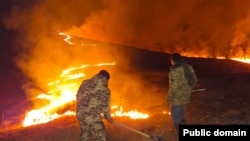 Ermənistanda meşə yanğınları