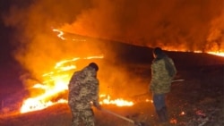 Գեղարքունիք, Լոռի, Տավուշ. հրդեհներ՝ Հայաստանի մի քանի մարզերում, հրդեհաշիջումը շարունակվում է