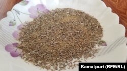 زیره سیاه یکی از گیاهان طبی
