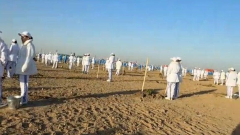 Türkmenistanlylar öz dynç güni bag ekmäge mejbur boldular