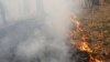 آتش در گلستان؛ «لزوم استفاده از متخصصان برای احیای جنگل‌ها»