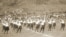 1919 წელი - საქართველოს რესპუბლიკის მთავრობამ საქართველოს დამოუკიდებლობა ერთი წლით ადრე, 26 მაისს გამოაცხადა. მეორე წელს კი პომპეზურად აღნიშნა. ფოტოზე  საზოგადოება „შევარდენის“ წარმოდგენაა ვაკეში. 