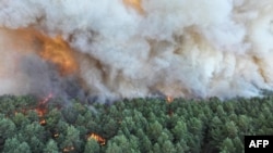 Fotografie publicată de serviciul de pompieri francez la 12 iulie 2026, cu un incendiu care face ravagii în Pădurea Fontainebleau.