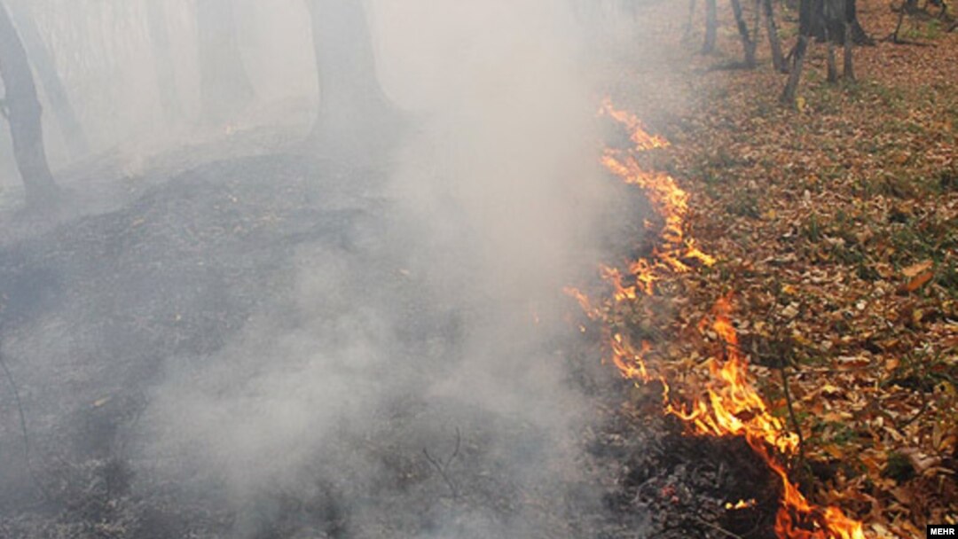 Iran – Fire in the Goolestan forest, Golestan, 19Nov2010