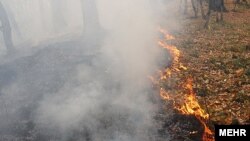 Iran – Fire in the Goolestan forest, Golestan, 19Nov2010