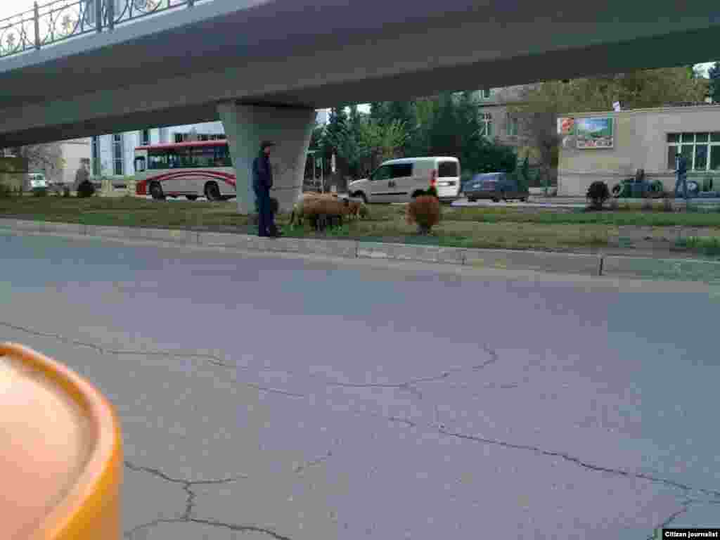 G&uuml;n&uuml;-g&uuml;ndən g&ouml;zəlləşən və inkişaf edən Bakımız - Nicat g&ouml;ndərib.