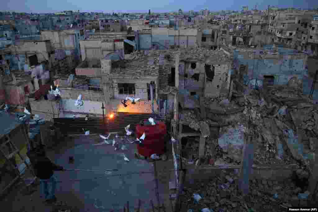 A pigeon keeper watches his birds fly from the roof of his home in the war-damaged Bab Dreib neighborhood in the Old City of Homs, Syria. (AP/Hassan Ammar)