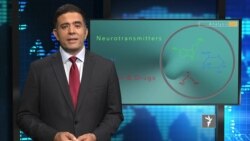 تازه های جهان در ستودیوی آزادی