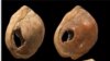 Раковины из Южной Африки, которые 75 тысяч лет назад носили как бусы. <a href = " http://www.nsf.gov/news/news_images.jsp?cntn_id=100362&org=BCS" target=_blank>NSF Credit: C. Henshilwood & F. d'Errico</a>