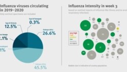 Графики от Европейския център за превенция и контрол на заболяванията. В ляво разпространение на различните щамове на грипа. В дясно заболеваемост в страните членки. За държавите в сиво няма данни или нивата са ниски