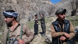 Күрдтер деген кімдер?