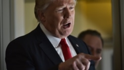 Tramp federal kazyýetlere hüjümini dowam etdirýär