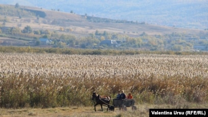 Diana Crudu Agricultura Republicii Moldova Rămane Cenușăreasa