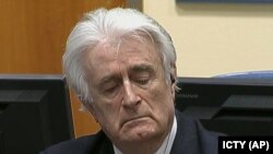 Bosniya serblərinin lideri Radovan Karadzic Beynəlxalq Cinayətlər Məhkəməsində (2016)