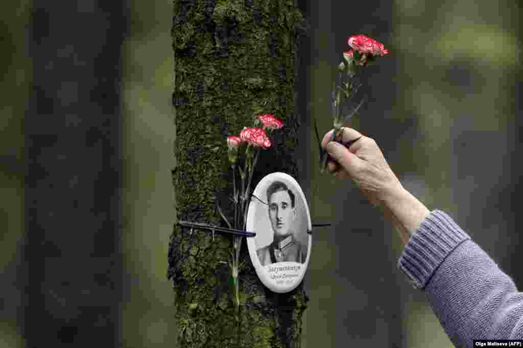 РУСИЈА - Жена закачува цвеќиња на портрет на жртва на сталинистичката диктатура во поранешен СССР. Стотина Руси се собраа во шумата на излезот од Санкт Петерсбург во која биле запалени телата на нивни роднини убиени како непријатели на режимот на советскиот диктатор Сталин.