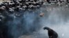 Столкновения перед зданием администрации президента в Киеве