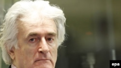 Radovan Karadzic in the courtroom of the International Criminal Tribunal for the former Yugoslavia in The Hague on November 3.