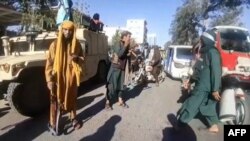 افراد گروه طالبان در شهر هرات