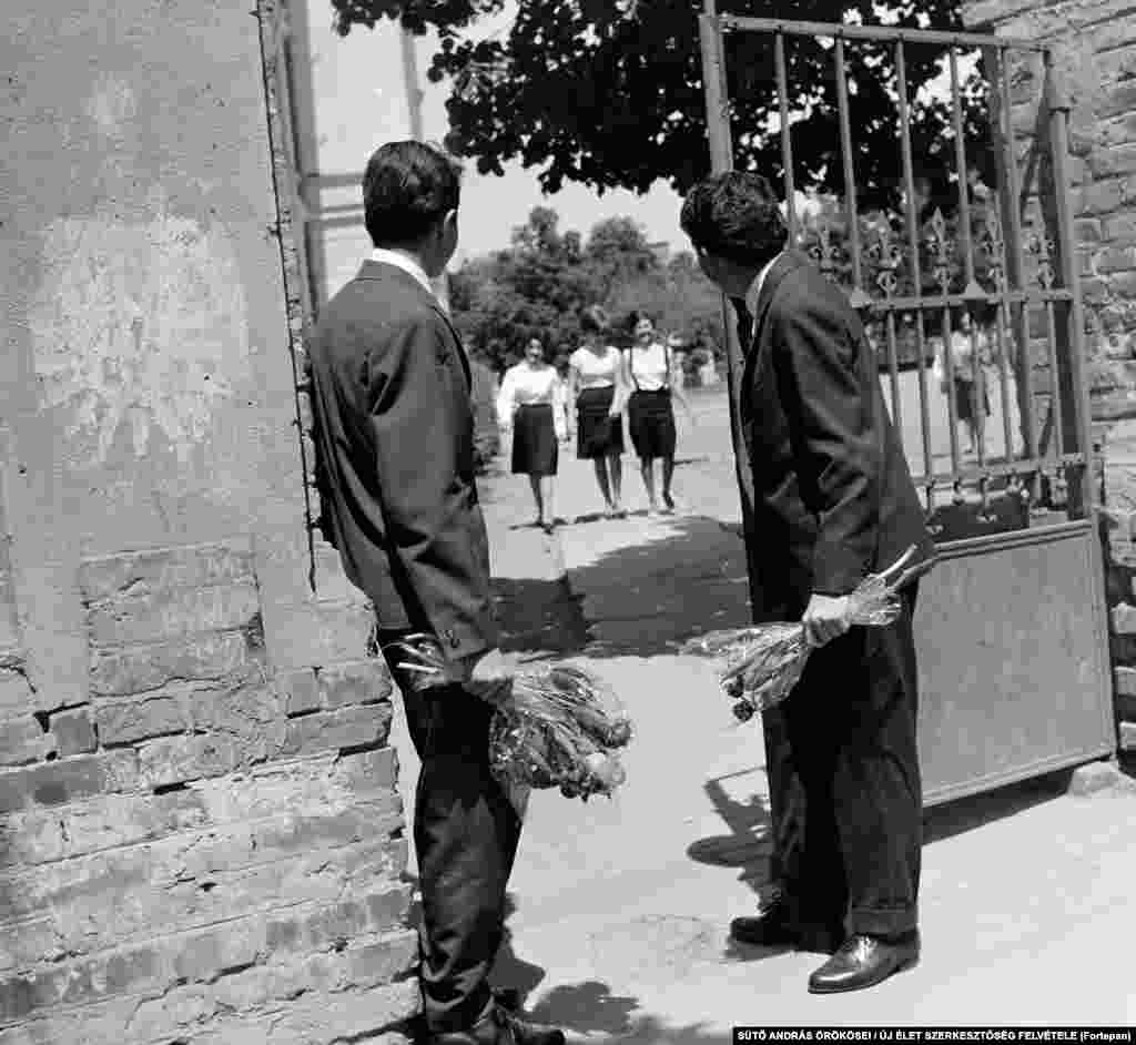 Romantic Romanian students wait for a group of young women in Targu Mures in 1964.