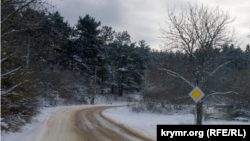 Обмеження стосуються доріг у Житомирській, Чернігівській, Волинській, Рівненській, Київській, Черкаській та Полтавській областях