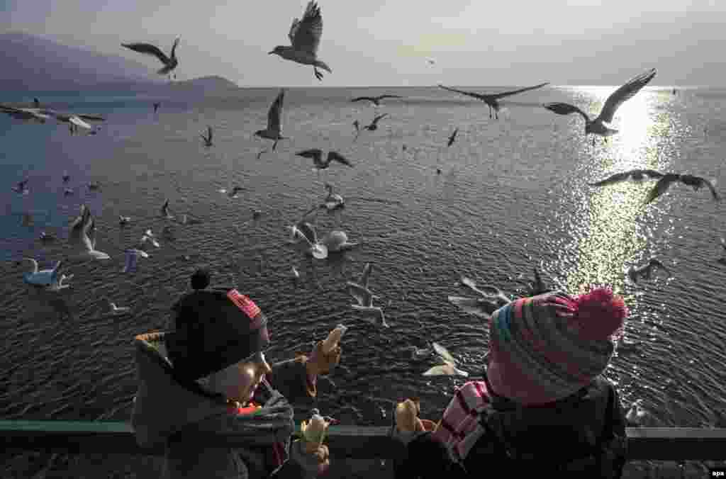 Children feed the birds at picturesque Lake Ohrid, Macedonia. (epa/Georgi Licovski)