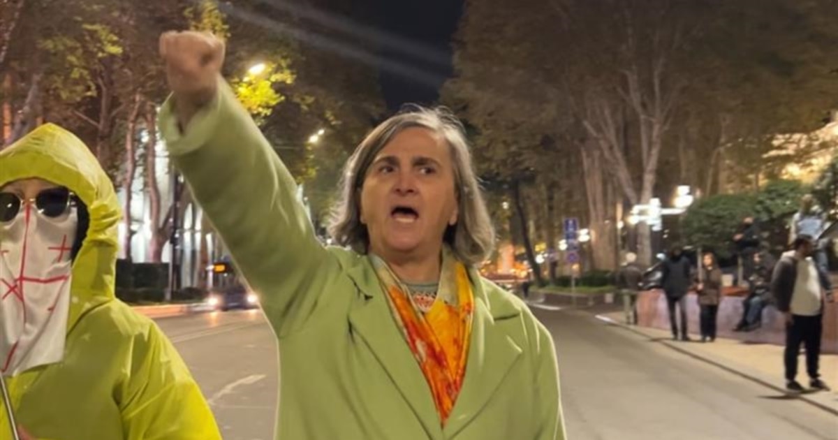 ფილოლოგს, მკვლევარ რუსუდან კობახიძეს ერთდღიანი პატიმრობა შეეფარდა