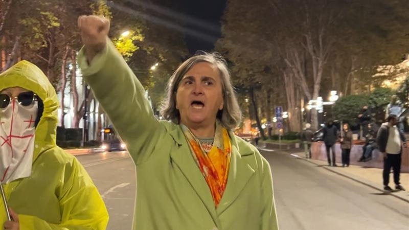 ფილოლოგს, მკვლევარ რუსუდან კობახიძეს ერთდღიანი პატიმრობა შეეფარდა