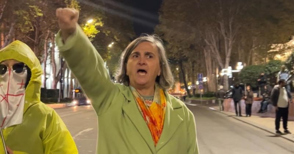 რუსთაველზე დააკავეს ფილოლოგი, SovLab-ის მკვლევარი რუსუდან კობახიძე