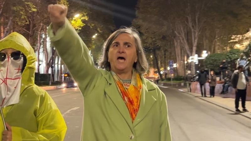 რუსთაველზე დააკავეს ფილოლოგი, SovLab-ის მკვლევარი რუსუდან კობახიძე