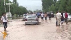 ვიდეოდაიჯესტი (12.05.2016)