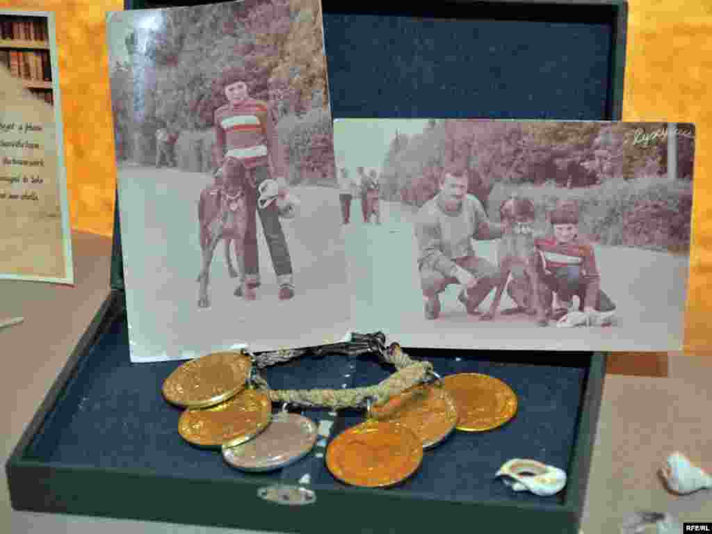 ძაღლის მედლები - ეს ერთადერთი ნივთია, რომელიც ოჯახს სოხუმიდან შემორჩა. - ”როდესაც რეზოს ოჯახის წევრები ერთმანეთს თბილისში შეხვდნენ, აღმოჩნდა, რომ მის უმცროს ბიჭს ჯიბეში ძაღლის მედლები ეწყო. ეს ერთადერთი ნივთია, რომელიც ოჯახს სოხუმიდან შემორჩა...”