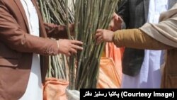 ارشیف