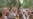 Azeris Jailed Over April Protest
