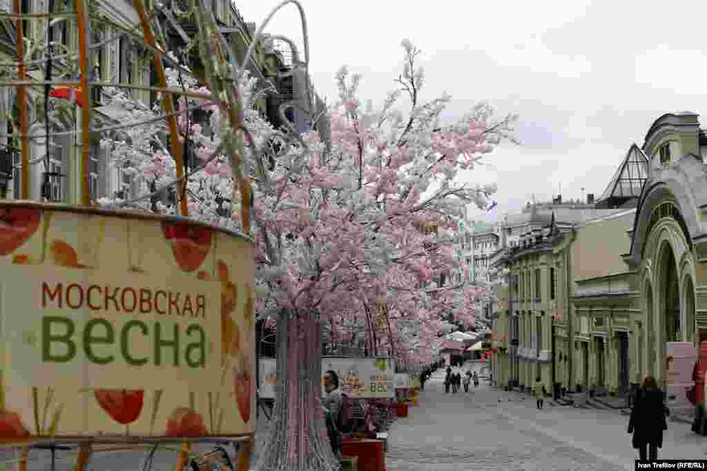 Кузнецкий Мост. Пластиковая сакура.