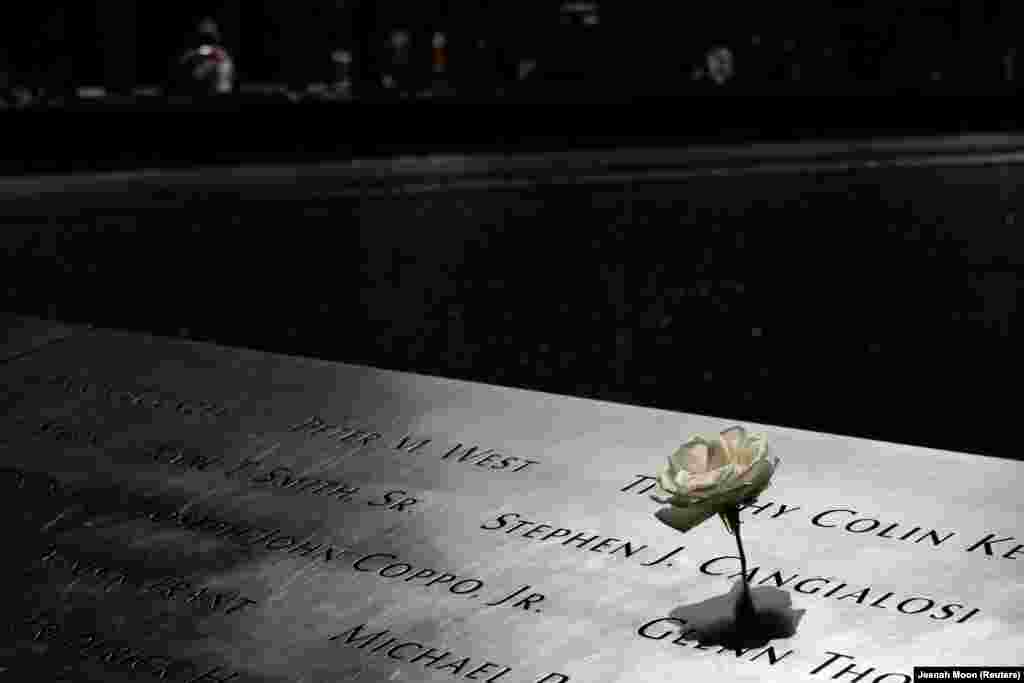 Një lule shihet te pishina reflektuese e vendit përkujimtor të 11 Shtatorit, në ditën kur kryengritësit talibanë hynë në kryeqytetin e Afganistanit. (Nju-Jork, 15 gusht 2021)