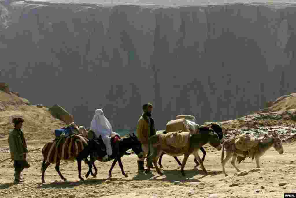 Rădăcinile talibanilor #52