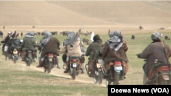 آرشیف/ عکس تزئیني بڼه لري
