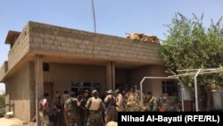 Иллюстративное фото