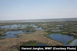 Potential tiger habitat includes flooded dunes in the tugai and reed ecosystems. (Photo: Harmut Jungius, WWF)