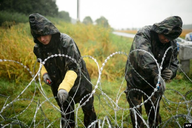 Венгерские солдаты устанавливают проволочные заграждения на южной границе страны, сентябрь 2015 года