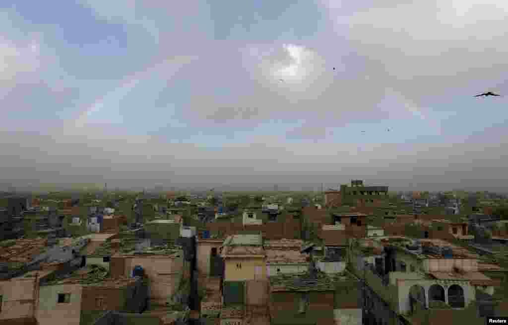 Karaçi, Pakistan, guşlar älemgoşar şöhleleriniň astynda jaýlaryň ýokarsynda öwrüm edýär.(Reuters/Akhtar Soomro)