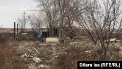 Жеңіс ауылында ұсақ мал ұстайтын қора салып жатқан адамдар. Мақтаарал ауданы, Түркістан облысы, 5 желтоқсан 2020 жыл.
