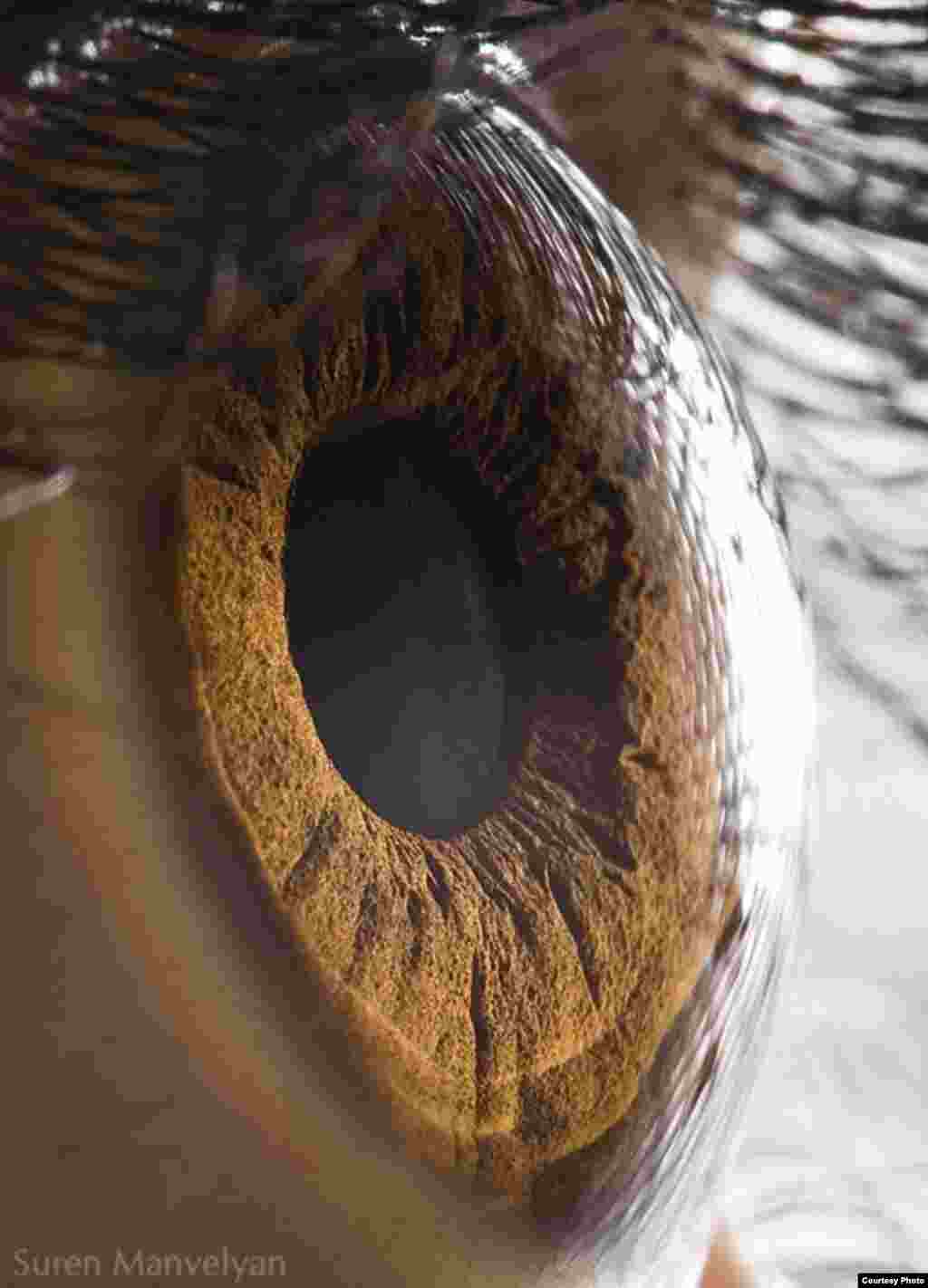 &quot;We see thousands of eyes in our life but never suspect about the structure of the iris,&quot; Manvelyan tells RFE/RL. &quot;It is very beautiful and astounding. The surface resembles the surface of other planets, with craters, rivers, and valleys. It looks like something from another world. Every time I photograph the eye, I feel myself traveling through the cosmos.&quot;