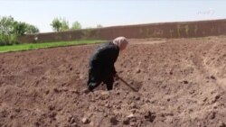 "د لایقې خویندې دې هم ښوونځي ته نه‌ځي"