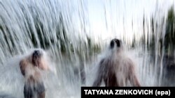 Foto arxiv