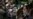 Bad Selfie: Iranian Lawmakers Take Heat For Pictures With Top EU Diplomat