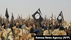 A group of Islamic State militants celebrate.